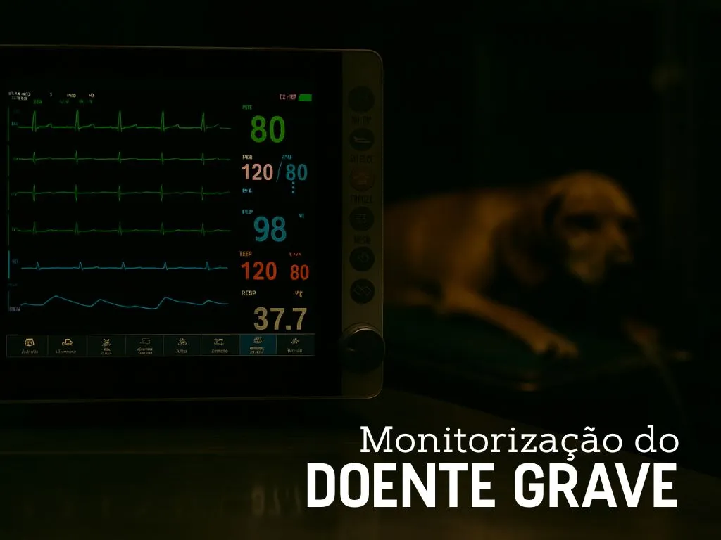 Imagem 8-senior